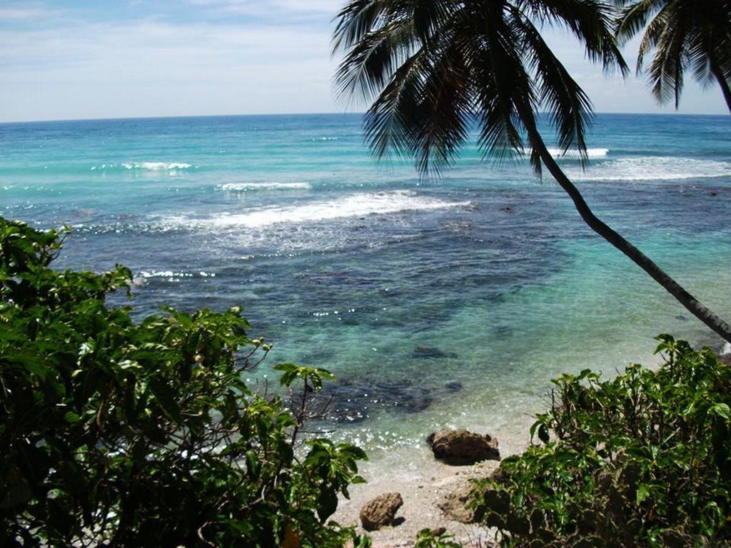 Hotel El Quemaito - Luxury Oceanfront Retreat Barahona Εξωτερικό φωτογραφία