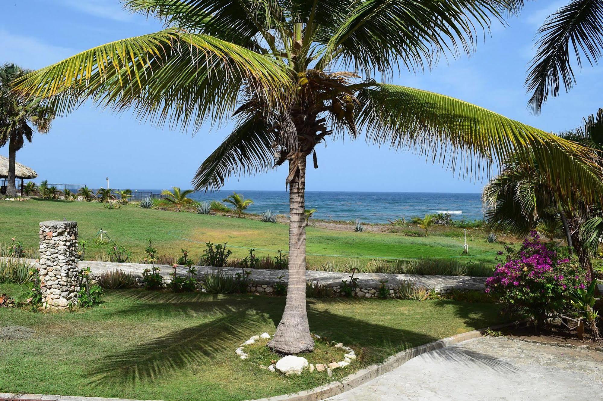 Hotel El Quemaito - Luxury Oceanfront Retreat Barahona Εξωτερικό φωτογραφία